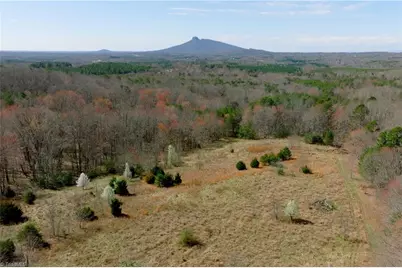7 Old Mill Road, Pinnacle, NC 27043 - Photo 3