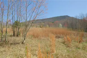 7 Old Mill Rd, Pinnacle, NC 27043 - Photo 1