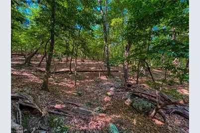 784 Palisade Trail, Denton, NC 27239 - Photo 13