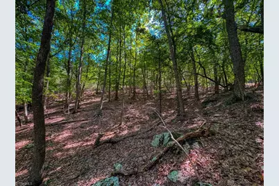 784 Palisade Trail, Denton, NC 27239 - Photo 15