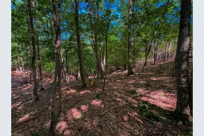 784 Palisade Trail, Denton, NC 27239 - Photo 9