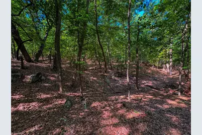 784 Palisade Trail, Denton, NC 27239 - Photo 11