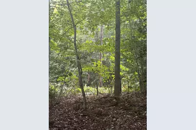 Lot 4 Edgewood Road, Wilkesboro, NC 28697 - Photo 5