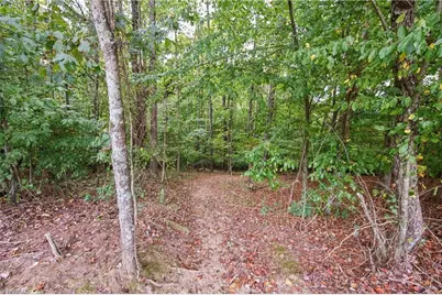 01 Bovendertown Road, Yadkinville, NC 27055 - Photo 9
