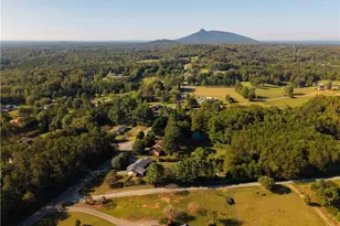 4472 Nc Hwy 268, Pilot Mountain, NC 27041 - Photo 23
