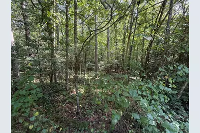 Lots 20 & 21 Zinzendorf Lane, Moravian Falls, NC 28654 - Photo 1
