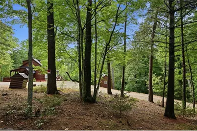1158 Staghorn Road, Purlear, NC 28665 - Photo 39