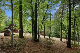 1158 Staghorn Rd, Purlear, NC 28665 - Photo 39