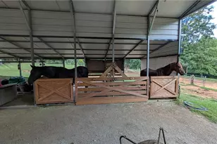 3393 Fulton Rd, Asheboro, NC 27205 - Photo 15