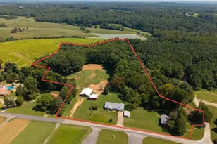 3818 Mining Ridge Church Rd, State Road, NC 28676 - Photo 5