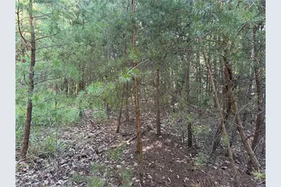 Lot 24 Wolf Pen Road, Purlear, NC 28665 - Photo 5