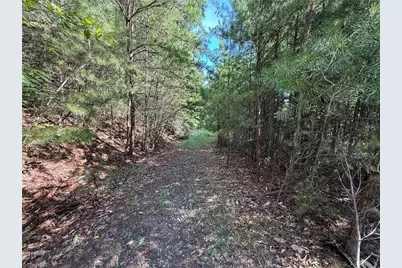 Lot 24 Wolf Pen Road, Purlear, NC 28665 - Photo 7
