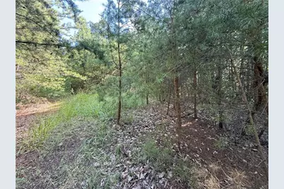 Lot 24 Wolf Pen Road, Purlear, NC 28665 - Photo 17