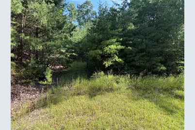 Lot 24 Wolf Pen Road, Purlear, NC 28665 - Photo 3