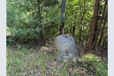 Lot 24 Wolf Pen Road, Purlear, NC 28665 - Photo 9