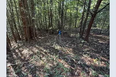 Lot 24 Wolf Pen Road, Purlear, NC 28665 - Photo 11