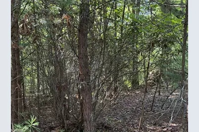 Lot 24 Wolf Pen Road, Purlear, NC 28665 - Photo 13
