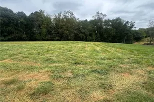 239 Southard Rd, Elkin, NC 28621 - Photo 35