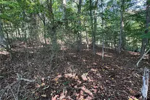 2709 Murray Rd, State Road, NC 28676 - Photo 35