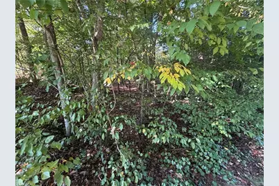 Lot 29 Cabin Cove Lane, Moravian Falls, NC 28654 - Photo 9