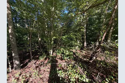 Lot 29 Cabin Cove Lane, Moravian Falls, NC 28654 - Photo 5