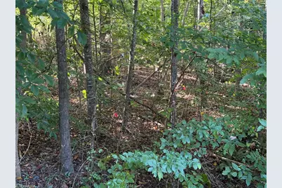 Lot 29 Cabin Cove Lane, Moravian Falls, NC 28654 - Photo 13
