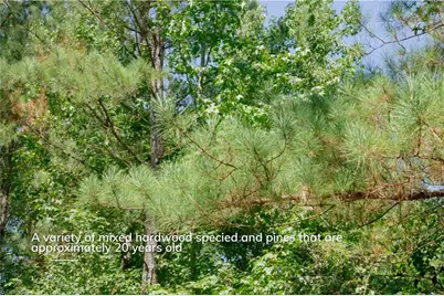 3053 Nc Highway 62 E, Julian, NC 27298 - Photo 9