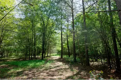 3053 Nc Highway 62 E, Julian, NC 27298 - Photo 15