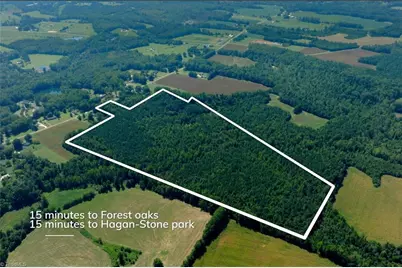 3053 Nc Highway 62 E, Julian, NC 27298 - Photo 3