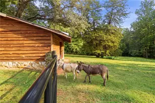 2233 Vienna Dozier Rd, Pfafftown, NC 27040 - Photo 45