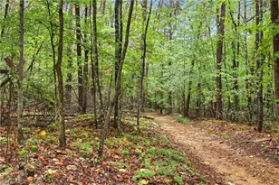2233 Vienna Dozier Rd, Pfafftown, NC 27040 - Photo 3