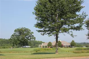 246 Broadmoor Dr, Advance, NC 27006 - Photo 43