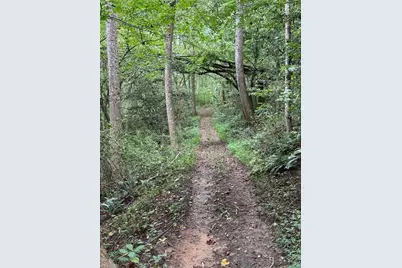 Lot 22 Zinzendorf Lane, Moravian Falls, NC 28654 - Photo 11