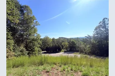 1490 Glenn Carlton Road, Boomer, NC 28606 - Photo 7