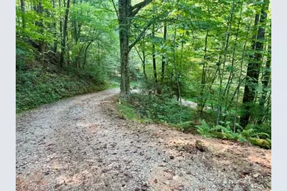 488 Hollywood Road, Moravian Falls, NC 28654 - Photo 49