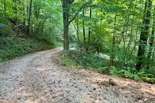 488 Hollywood Rd, Moravian Falls, NC 28654 - Photo 49