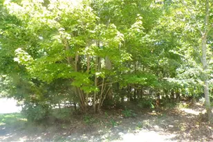 2581 Carl Allred Rd, Franklinville, NC 27248 - Photo 1