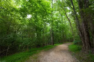 6300 Gardenview Rd, Pleasant Garden, NC 27313 - Photo 39