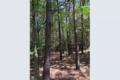 00 Bear Creek Church Road, Mocksville, NC 27028 - Photo 11