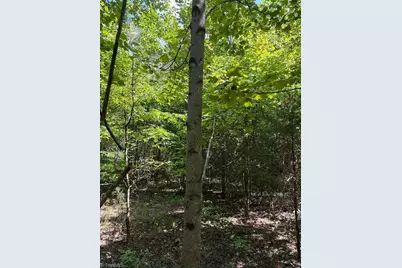 00 Bear Creek Church Road, Mocksville, NC 27028 - Photo 9