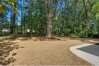 807 Claymore Court, Reidsville, NC 27320 - Photo 41