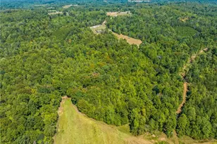 3280 Snow Hill Church Road, Lawsonville, NC 27022 - Photo 49