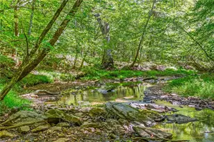 3280 Snow Hill Church Road, Lawsonville, NC 27022 - Photo 43