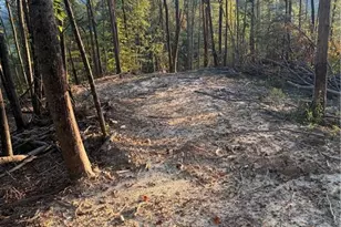 Tbd Lot 2 Old Nc Hwy 16, Millers Creek, NC 28651 - Photo 1