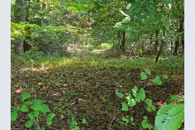 Tbd Belle Ridge Street, North Wilkesboro, NC 28659 - Photo 11
