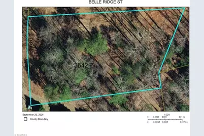 Tbd Belle Ridge Street, North Wilkesboro, NC 28659 - Photo 15
