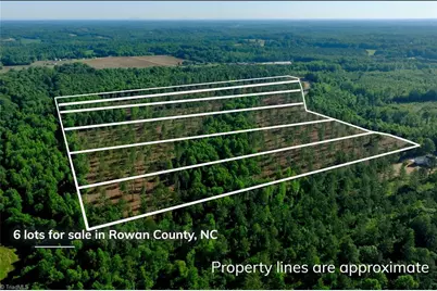 0 Carson Road, Cleveland, NC 27013 - Photo 9