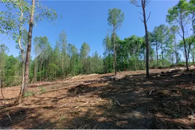 0 Carson Road, Cleveland, NC 27013 - Photo 3