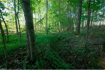 0 Carson Road, Cleveland, NC 27013 - Photo 7