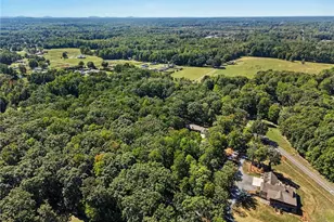 7235 Ledbetter Rd, Climax, NC 27233 - Photo 33